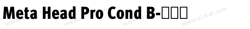 Meta Head Pro Cond B字体转换